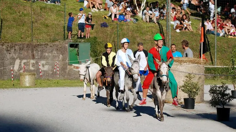Il Palio degli Asini di Mura