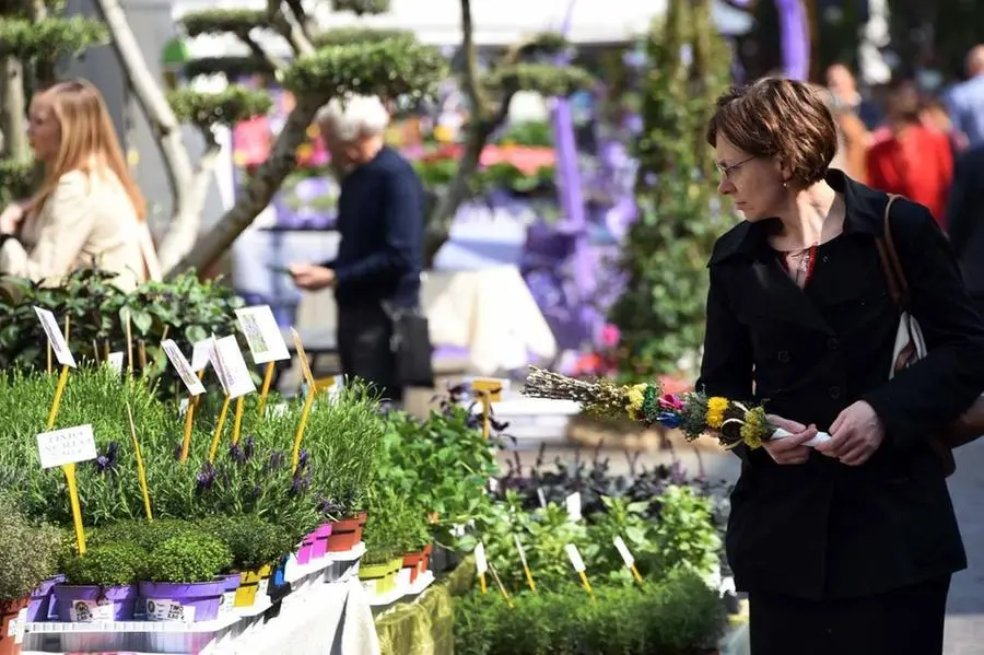 I fiori torneranno protagonisti in centro con Brixia Florum