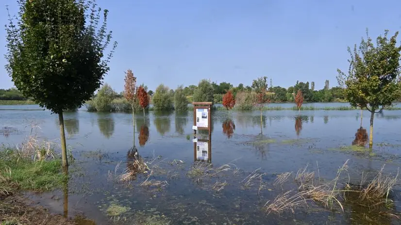Le zone allagate al Parco delle Cave