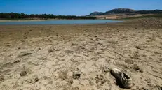 Siccità in Sicilia, il lago di Piana degli albanesi ridotto ad una pozzanghera, Palermo 29 luglio 2024. ANSA/IGOR PETYX