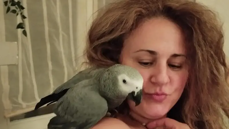Mamma Giada alleva pappagalli © www.giornaledibrescia.it