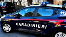 Indagini in corso da parte dei Carabinieri - © www.giornaledibrescia.it