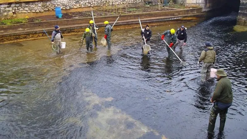 Pulizia dell'alveo del Naviglio grande bresciano - Foto/Fb Asd Fipsas Brescia