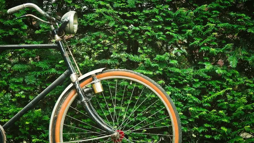 Una bicicletta - Foto/Pexels