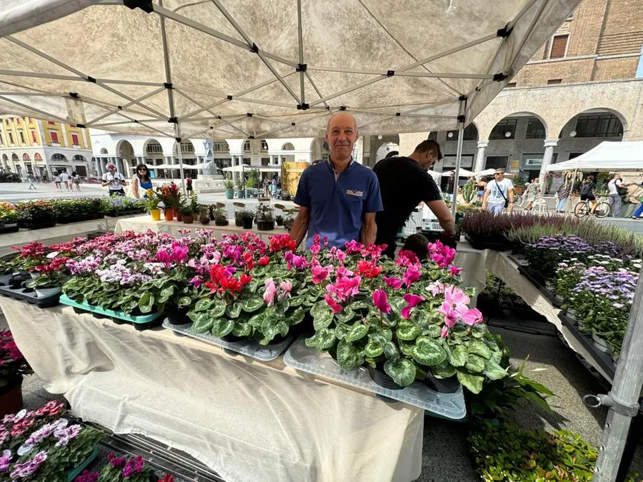 Brixia Florum riempie piazza Vittoria di fiori