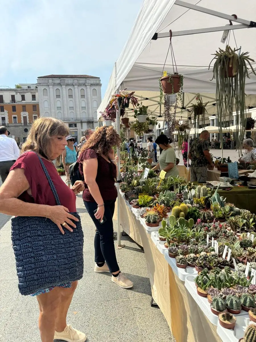 Brixia Florum riempie piazza Vittoria di fiori