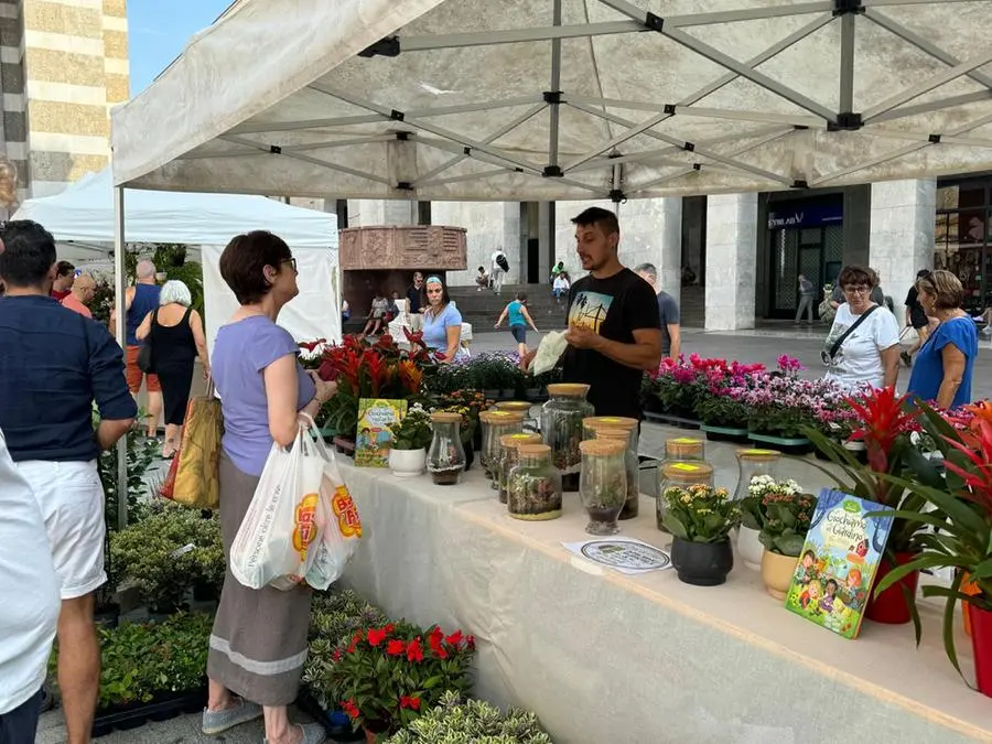 Brixia Florum riempie piazza Vittoria di fiori