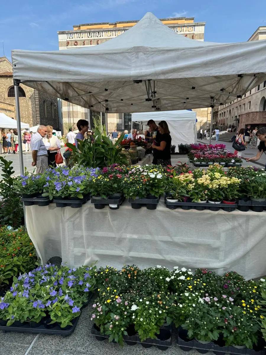 Brixia Florum riempie piazza Vittoria di fiori