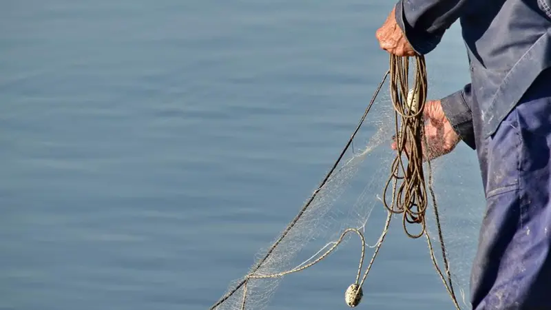 I pescatori professionali in Lombardia operano sui grandi laghi - Foto Pixnio