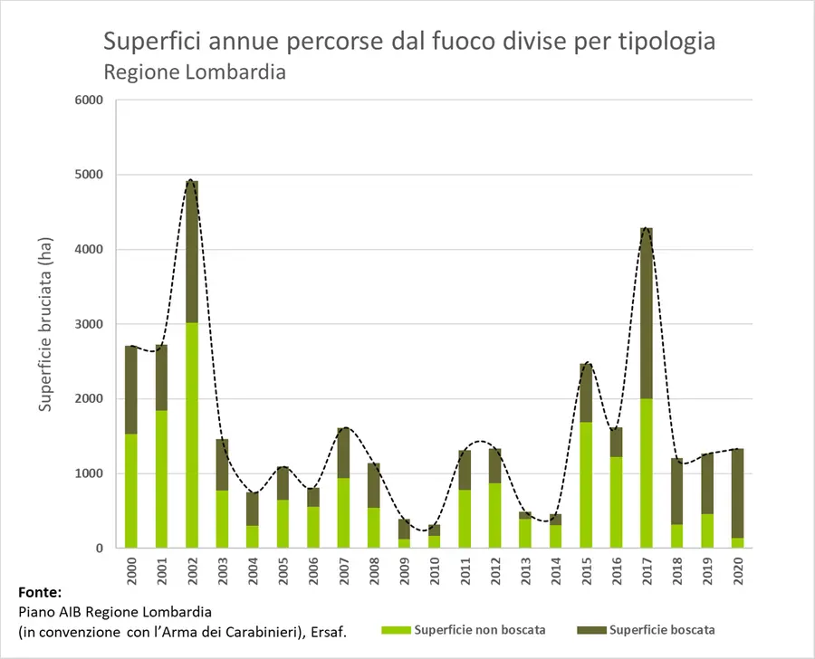 Gli incendi boschivi in Lombardia tra il 1975 e il 2020 - Superfici percorse dal fuoco per tipologia