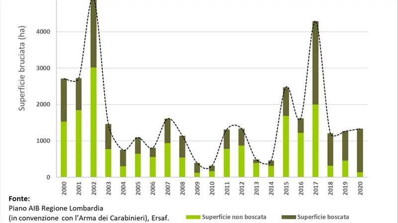 Gli incendi boschivi in Lombardia tra il 1975 e il 2020 - Superfici percorse dal fuoco per tipologia