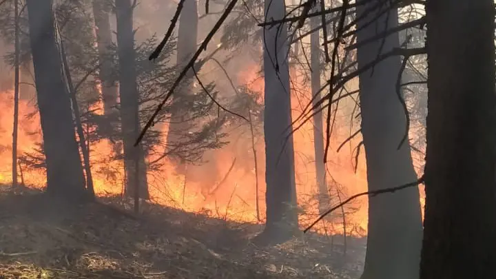 Fiamme a Sonico, marzo 2022 - Foto Dos Dario Entrade