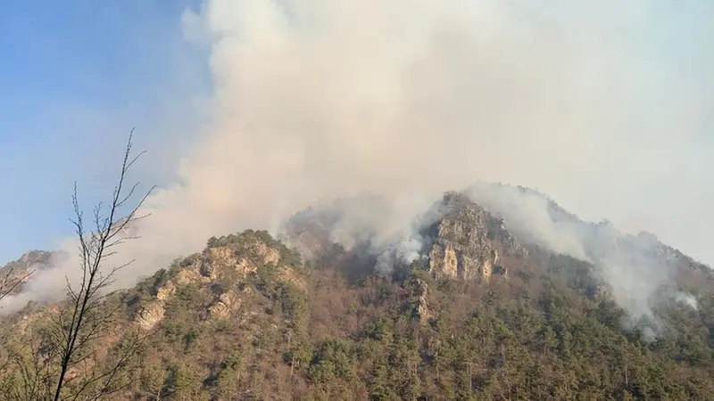L'incendio a Tignale del marzo 2021 - Foto Dos Dario Entrade
