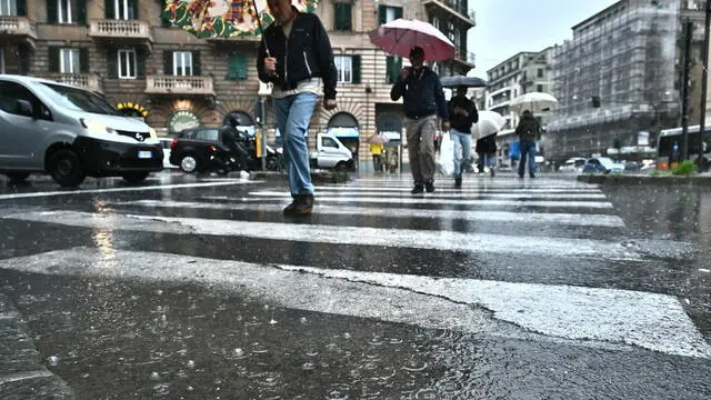 Forti pioggia nella notte che hanno provocato allagamenti nella zona del Tigullio. Nel capoluogo piove, ma non si registrano disagi. Genova, 24 0ttobre 2023. ANSA/LUCA ZENNARO