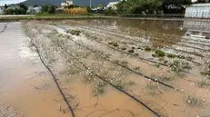 Danni provocati dal maltempo nella piana di Albenga ++NPK++