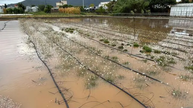 Danni provocati dal maltempo nella piana di Albenga ++NPK++