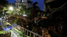 epa11589511 A fallen tree blocks a street due to the strong wind in Hanoi, Vietnam, 06 September 2024. Typhoon Yagi is expected to make landfall in northern Vietnam on 07 September, according to the National Center for Hydro-Meteorological Forecasting. EPA/LUONG THAI LINH