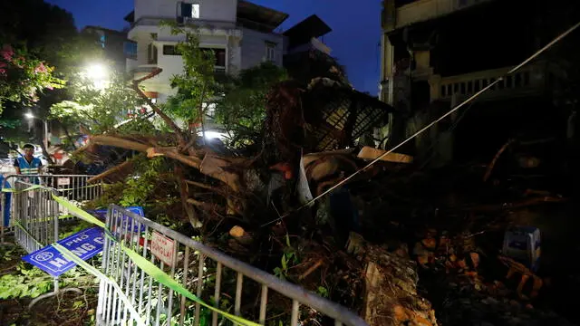 epa11589511 A fallen tree blocks a street due to the strong wind in Hanoi, Vietnam, 06 September 2024. Typhoon Yagi is expected to make landfall in northern Vietnam on 07 September, according to the National Center for Hydro-Meteorological Forecasting. EPA/LUONG THAI LINH