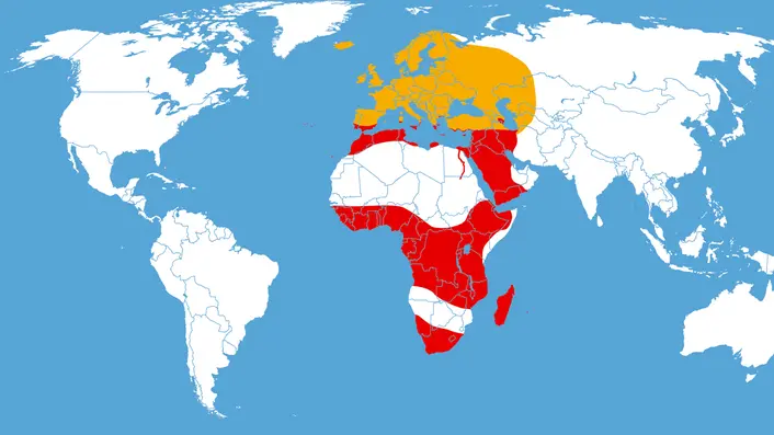 Dove è diffusa la Acherontia antropos - NordNordWest (CC/Wikipedia)