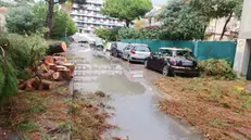 I danni causati dal forte maltempo a Bordighera (Imperia), 03 novembre 2019. Allagamenti, cedimenti stradali e schianti di alberi nel Ponente Ligure a causa del maltempo. A Sanremo soccorsi due giovani bloccati in auto in un sottopasso allagato. Nell'entroterra si è aperto un cratere sulla strada dei Due Valloni mentre diversi alberi si sono schiantati sulle auto parcheggiate a Ventimiglia. La linea temporalesca si intensifica nel Levante: il torrente Petronio è esondato tra Casarza Ligure e Riva Trigoso, non ci sarebbero al momento danni a persone. Anche il livello del Vara, nello spezzino, è oltre il secondo livello di guardia. ANSA