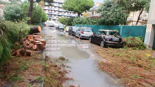 I danni causati dal forte maltempo a Bordighera (Imperia), 03 novembre 2019. Allagamenti, cedimenti stradali e schianti di alberi nel Ponente Ligure a causa del maltempo. A Sanremo soccorsi due giovani bloccati in auto in un sottopasso allagato. Nell'entroterra si è aperto un cratere sulla strada dei Due Valloni mentre diversi alberi si sono schiantati sulle auto parcheggiate a Ventimiglia. La linea temporalesca si intensifica nel Levante: il torrente Petronio è esondato tra Casarza Ligure e Riva Trigoso, non ci sarebbero al momento danni a persone. Anche il livello del Vara, nello spezzino, è oltre il secondo livello di guardia. ANSA