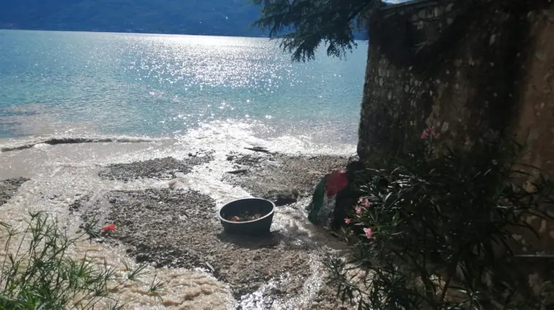 Fango a Villa di Gargnano per l'esondazione del torrente