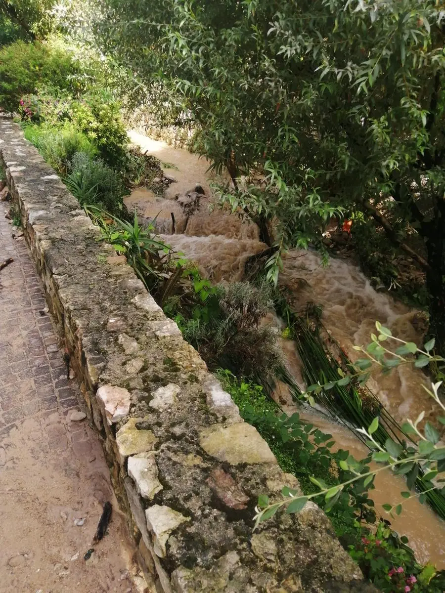 Fango a Villa di Gargnano per l'esondazione del torrente