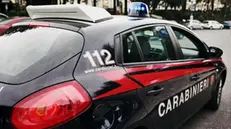 L'indagine è stata condotta dai carabinieri - Foto Ansa © www.giornaledibrescia.it