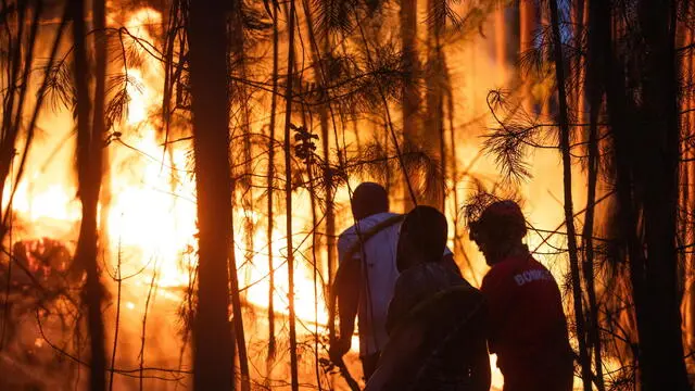 epa10788251 Firefighters try to extinguish a forest fire at Matas de Espite, Ourem, Portugal, 06 August 2023. EPA/PAULO CUNHA