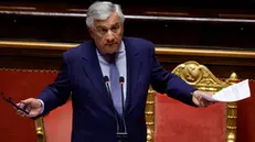 Il ministro degli Affari Esteri, Antonio Tajani durante il question time al Senato, Roma 12 settembre 2024. ANSA/FABIO FRUSTACI