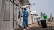 epa11551533 Medical staff work at the Munigi Health Centre in Munigi, Democratic Republic of Congo on August 16, 2024. The European Centre for Disease Prevention and Control (ECDC) warned that Europe is likely to see more imported cases due to the virusâ€™s spread in several African nations after the World Health Organization declared the spread of mpox in Africa as a global health emergency. Mpox belongs to the same family of viruses as smallpox but causes milder symptoms like fever, chills and body aches. EPA/MOISE KASEREKA