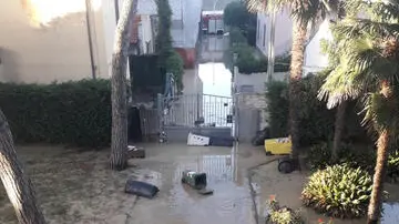 il fiume misa a senigallia trasporta alberi e terreno nella notte. firmiamo solo ansa, foto recuperata da greganti con autorizzazione dell'autore e senza necessità di firma