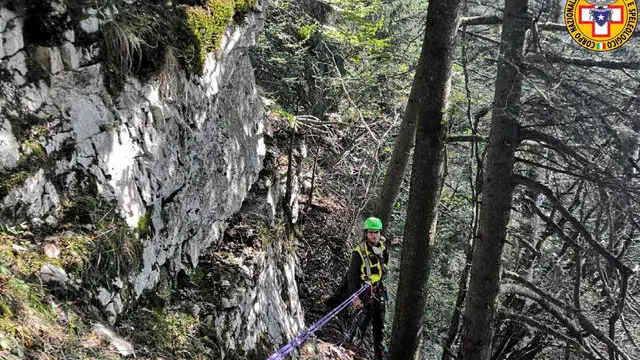 ANCORA SENZA ESITO LE RICERCHE A ROTZO Rotzo (VI), 22 - 09 - 20 Sono purtroppo ancora senza esito le ricerche di Lorenzo Lavezzo, di cui non si hanno più notizie da domenica, quando non è rientrato al Rifugio Campolongo dopo una mattinata i cerca di funghi assieme al fratello. Questa mattina a partire dalle 7, le perlustrazioni sono state allargate a un'area più ampia, dopo la verifica sulle rete sentieristica, strade e zone primarie battute più volte a tappeto, verso Malga Trugole, Forte Campolongo e tutti i boschi attorno al Rifugio. Oggi erano presenti una quarantina di persone tra Soccorso alpino, Vigili del fuoco con due unità cinofile, Associazioni di Protezione civile. I boschi in questi giorni sono frequentati assiduamente da cercatori di funghi - oggi si contavano una trentina di macchine - che invitiamo a porre attenzione nei luoghi percorsi e a segnalare al campo base, al Rifugio Campolongo, ogni possibile informazione. La ricerca riprenderà domattina.