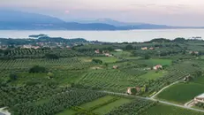 Uno scorcio delle colline della Valtenesi
