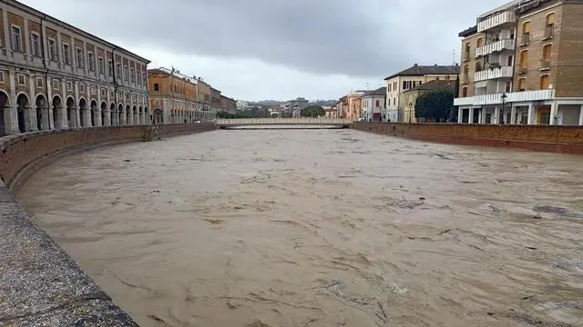 Nella zona di Senigallia (Ancona), colpita dall'alluvione dei fiumi Misa e Nevola lo scorso settembre, a causa delle intense piogge, "tutti gli idrometri a monte hanno superato i livelli di sicurezza, l'innalzamento continua costante". Il Comune fa sapere che l'ondata di piena del Misa "attraverserà il centro città presumibilmente verso le ore 9 di questa mattina"; "il Misa a Bettolelle è arrivato ai 3 metri superando i livelli di guardia" e dunque l'amministrazione invita a "salire ai piani alti". In via precauzionale, sono state chiuse varie strade (come lo stradone del Misa) come quella che collega Brugnetto a Bettolelle, lo stradone del Misa, ma anche alcuni supermercati come il Centro Commerciale Conad di Via Abbagnano, l'MD, il Sì con Te e Amico Market. Chiusi anche l'ufficio postale di via Fratelli Bandiera e il Distretto Sanitario di Via Campo Boario fino alle 10. ANSA/CARLO LEONE