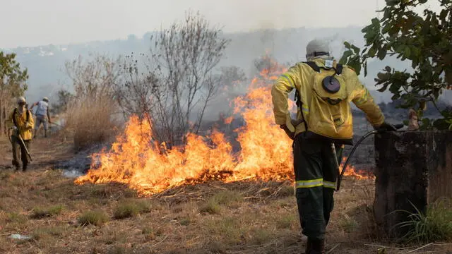 epa09464570 Members of the Brasilia Environmental Brigade work to extinguish a fire in the Cerrado de Brasilia, Brazil, 12 September 2021. The fires are caused mostly due to low humidity in the region. The Brazilian Cerrado is an ecoregion of tropical savanna that occupies about 20 percent of the country's land. EPA/Joedson Alves