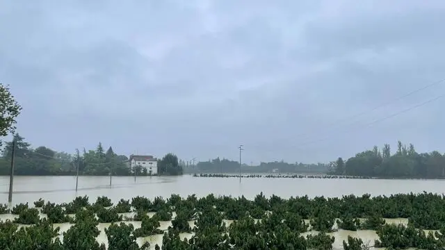 Le campagne allagate per il maltempo nei dintorno di Faenza (RA), 19 settembre 2024 ANSA / Max Cavallari -- The countryside flooded due to bad weather in the surroundings of Faenza (Ravenna - Italy), 19 September 2024 ANSA / Max Cavallari