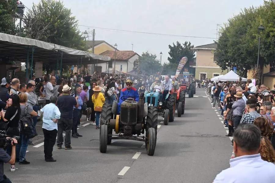 In Piazza con noi a Mairano per la Sagra del contadino