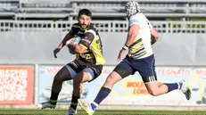 Michele Regonaschi è pronto a una nuova stagione in maglia giallonera - Foto New Reporter Comincini © www.giornaledibrescia.it