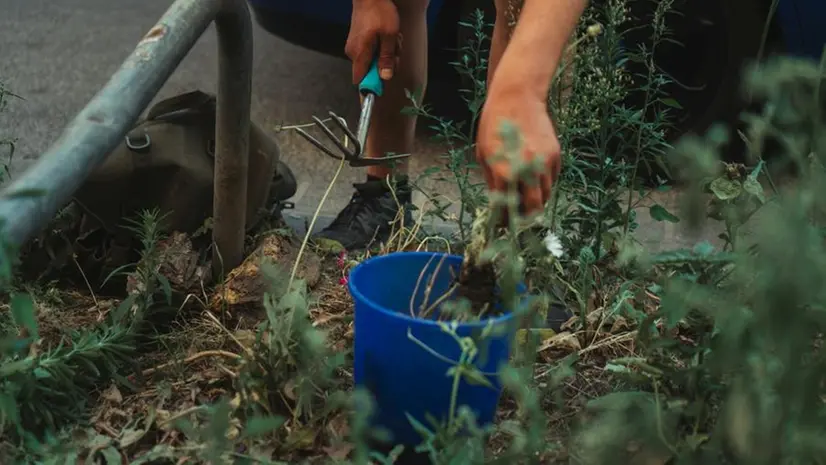 Il giardinaggio è anche lavoro di fatica