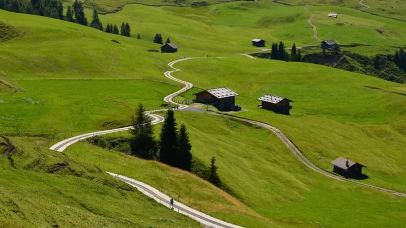 Pascoli dell’Alpe di Siusi