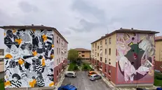 I nuovi murales di Agus Rùcula e Nsn997 in via Morosini