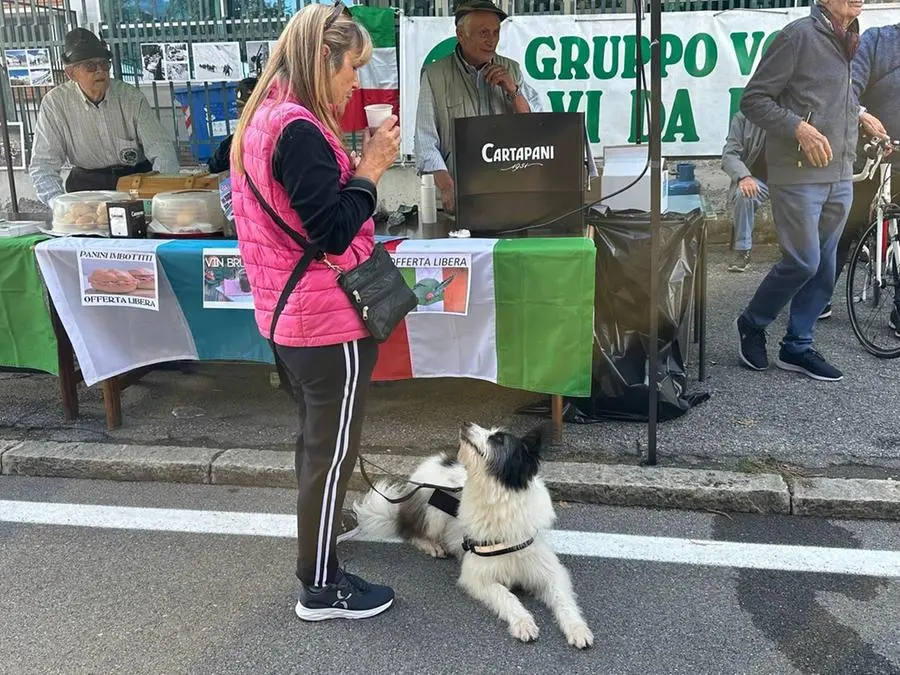 Alla fiera di Santa Maria della Vittoria