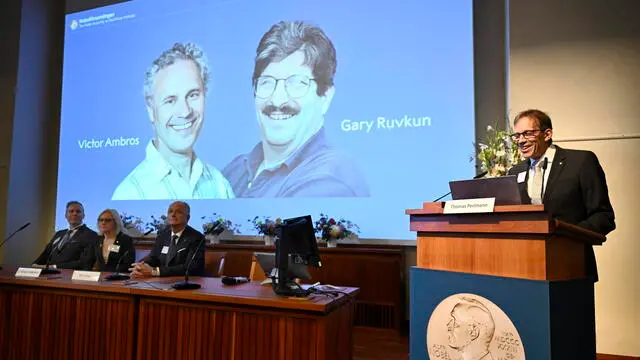 epa11647006 Nobel Committee chairman Thomas Perlmann addresses a press conference to announce the winners of the Nobel Prize in Physiology or Medicine at the Karolinska Institute in Stockholm, Sweden, 07 October 2024. The 2024 Nobel Prize in Physiology or Medicine was jointly awarded to Victor Ambros and Gary Ruvkun â€œfor the discovery of microRNA and its role in post-transcriptional gene regulationâ€, the statement reads. EPA/Christine Olsson/TT SWEDEN OUT