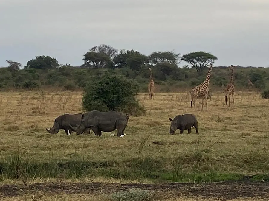 I magnifici paesaggi dell'Africa