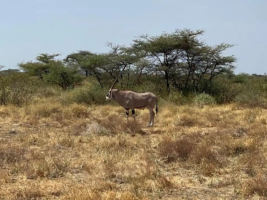 I magnifici paesaggi dell'Africa