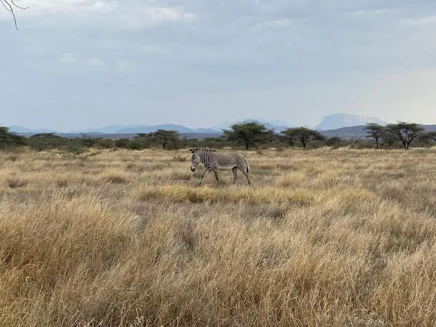 I magnifici paesaggi dell'Africa