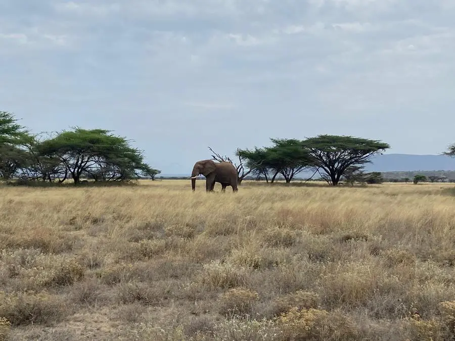 I magnifici paesaggi dell'Africa