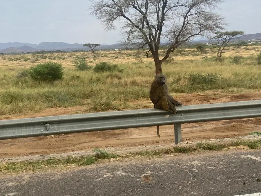 I magnifici paesaggi dell'Africa