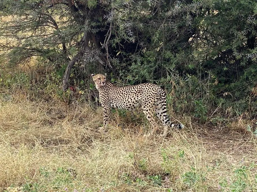 I magnifici paesaggi dell'Africa